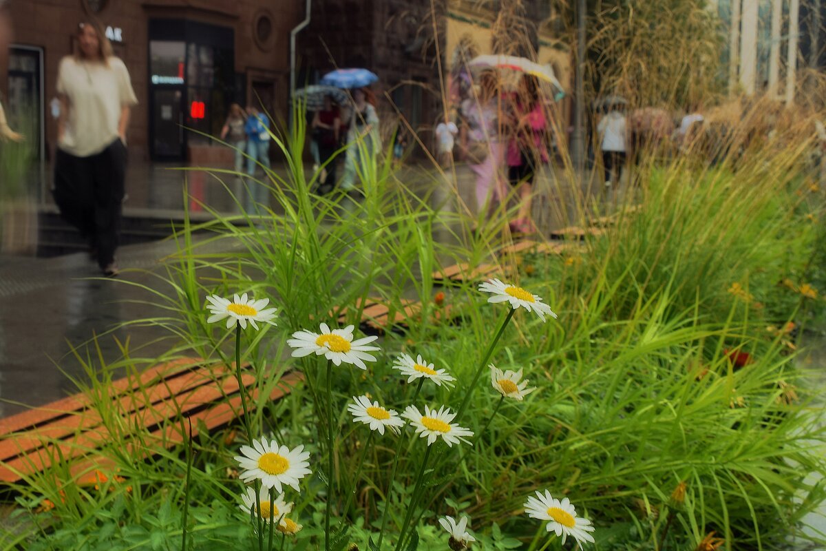 Кажется дождь заканчивается. - Татьяна Помогалова
