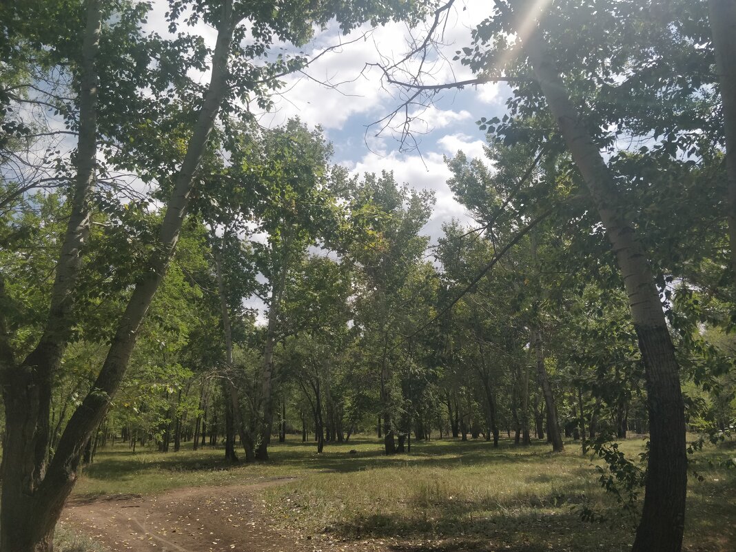 Август - Андрей Хлопонин