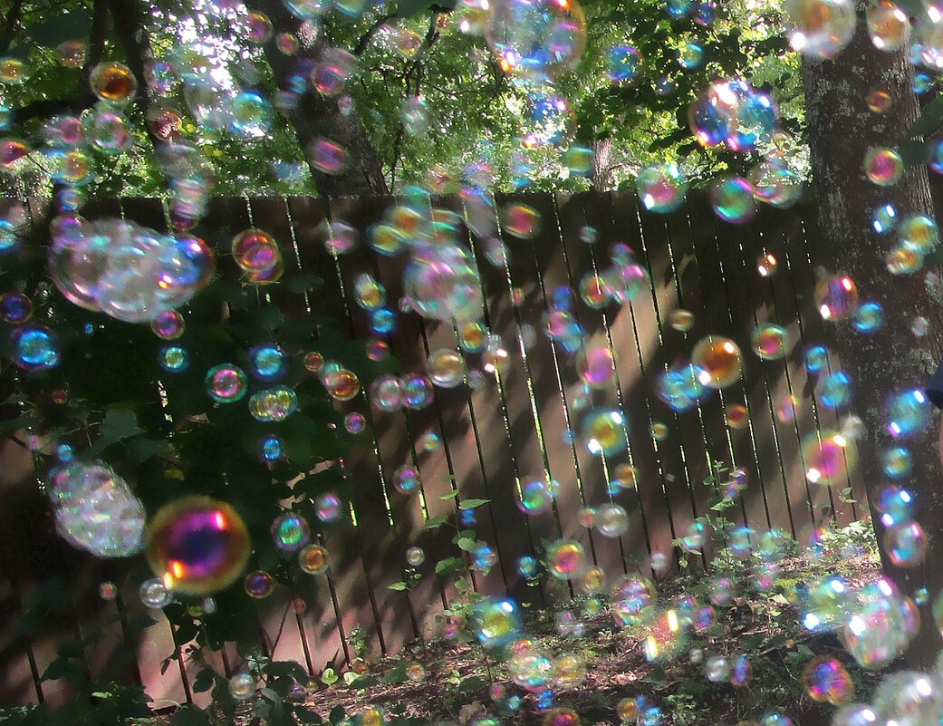 Мыльные пузыри - Ольга Довженко