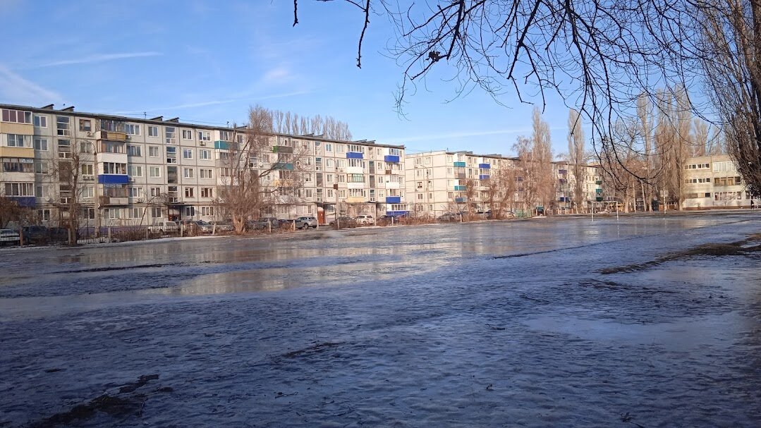причуды января - Елена Шаламова
