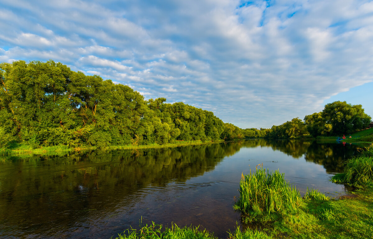 *** - Виталий Емельянов