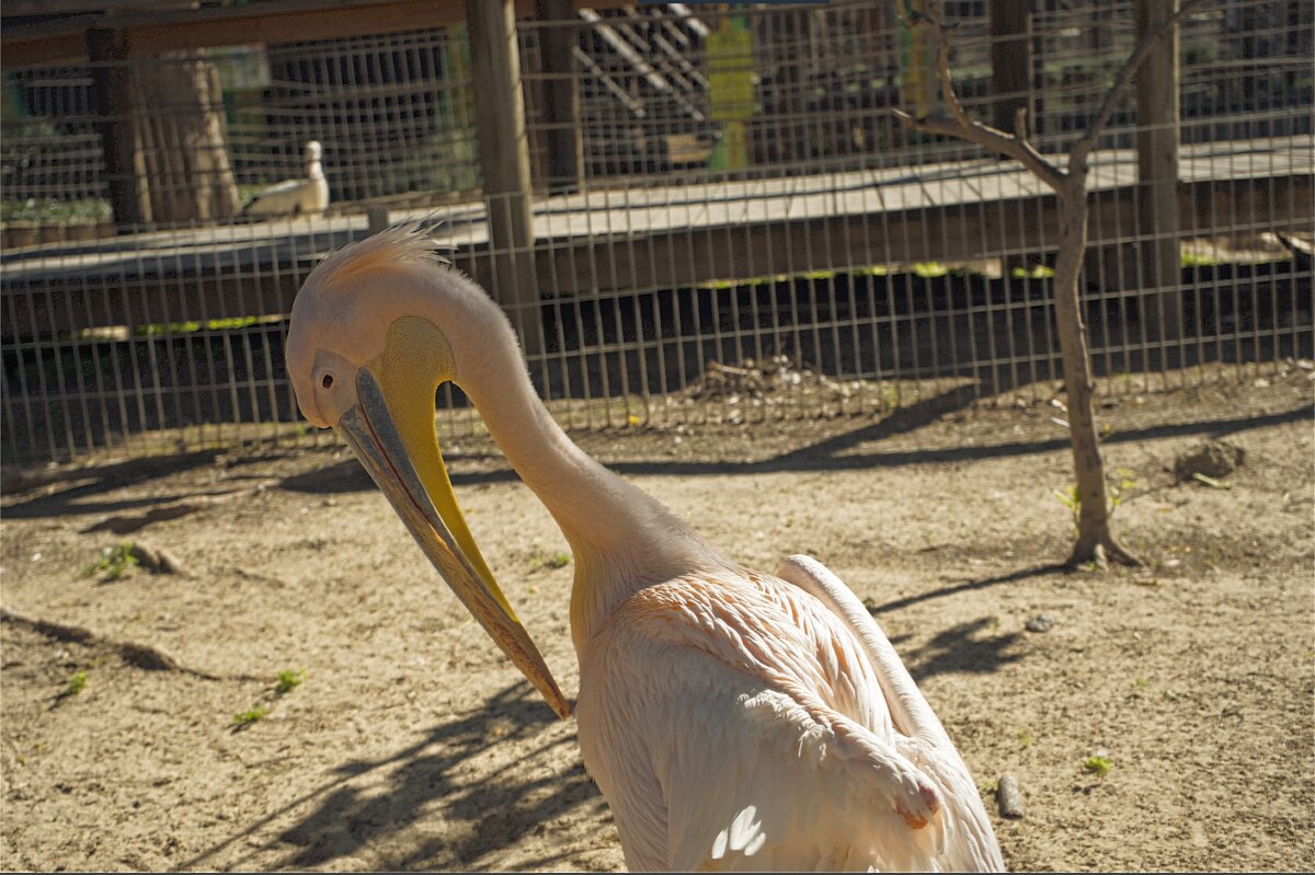 Хайфа Израиль север страны - ujgcvbif 