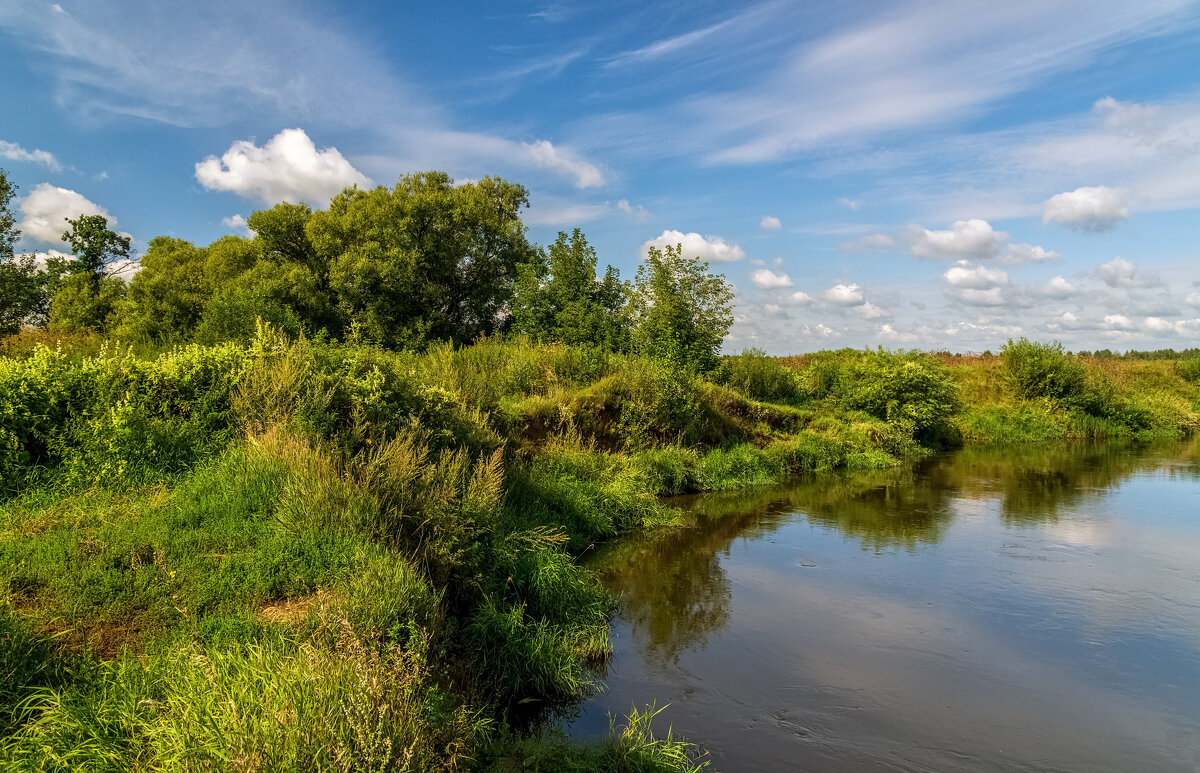 В Августе на Клязьме - Андрей Дворников В Августе на Клязьме - Андрей Дворников