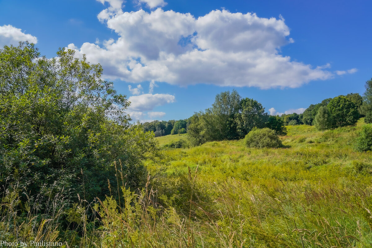 Палитра августа... - Владимир Жданов