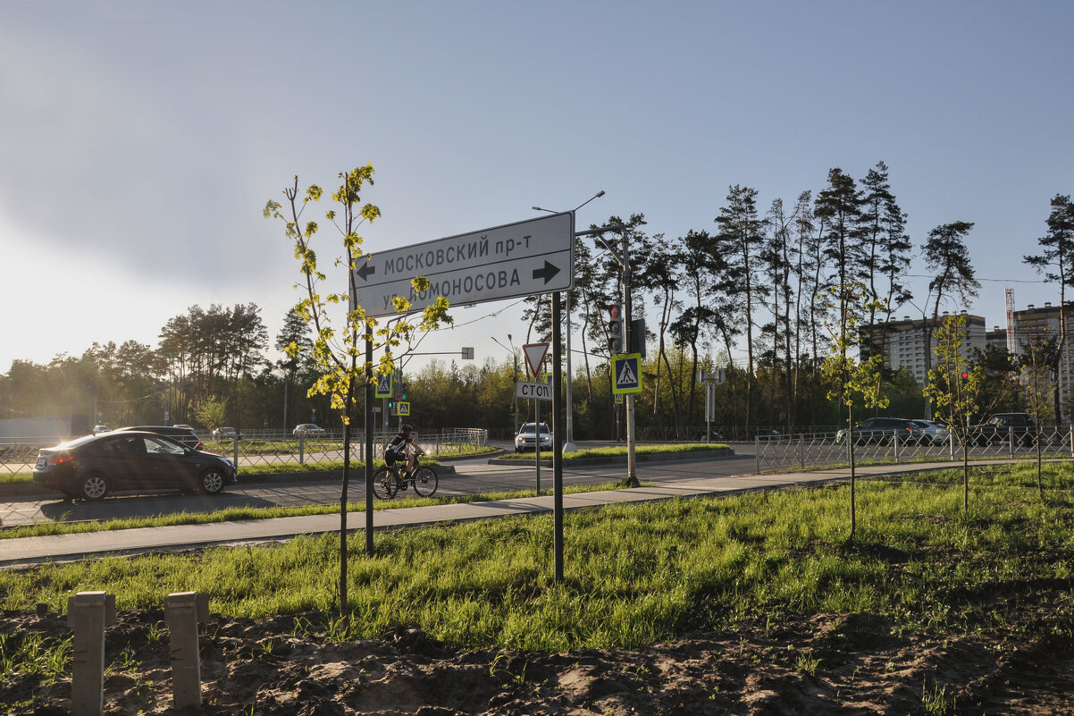 Ещё много просторов для строек - Татьяна Машошина