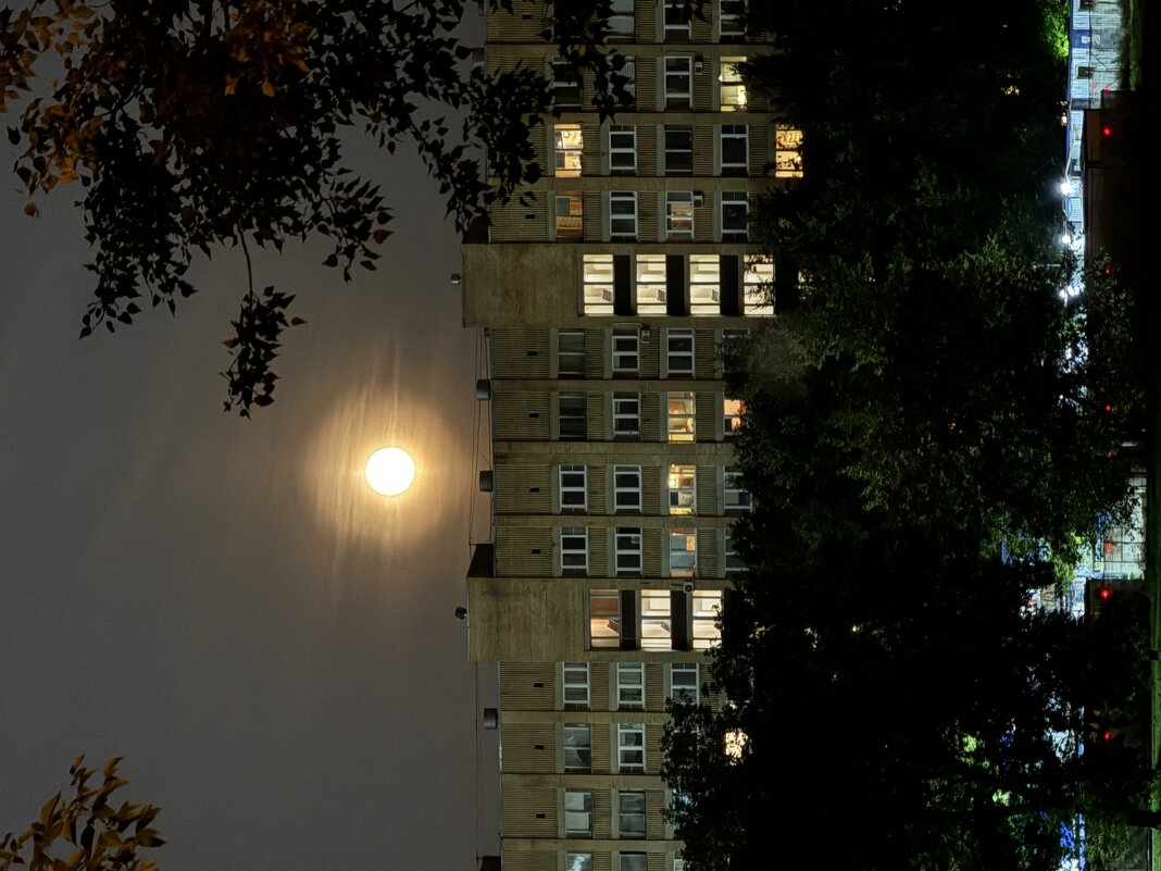 Время луны - Анна Камс