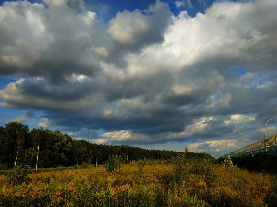 Облакастое (или тучное?) небо - Андрей Лукьянов