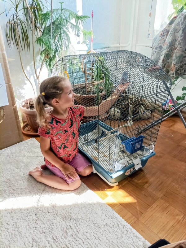 Знакомство со Снежком ) - Veera V