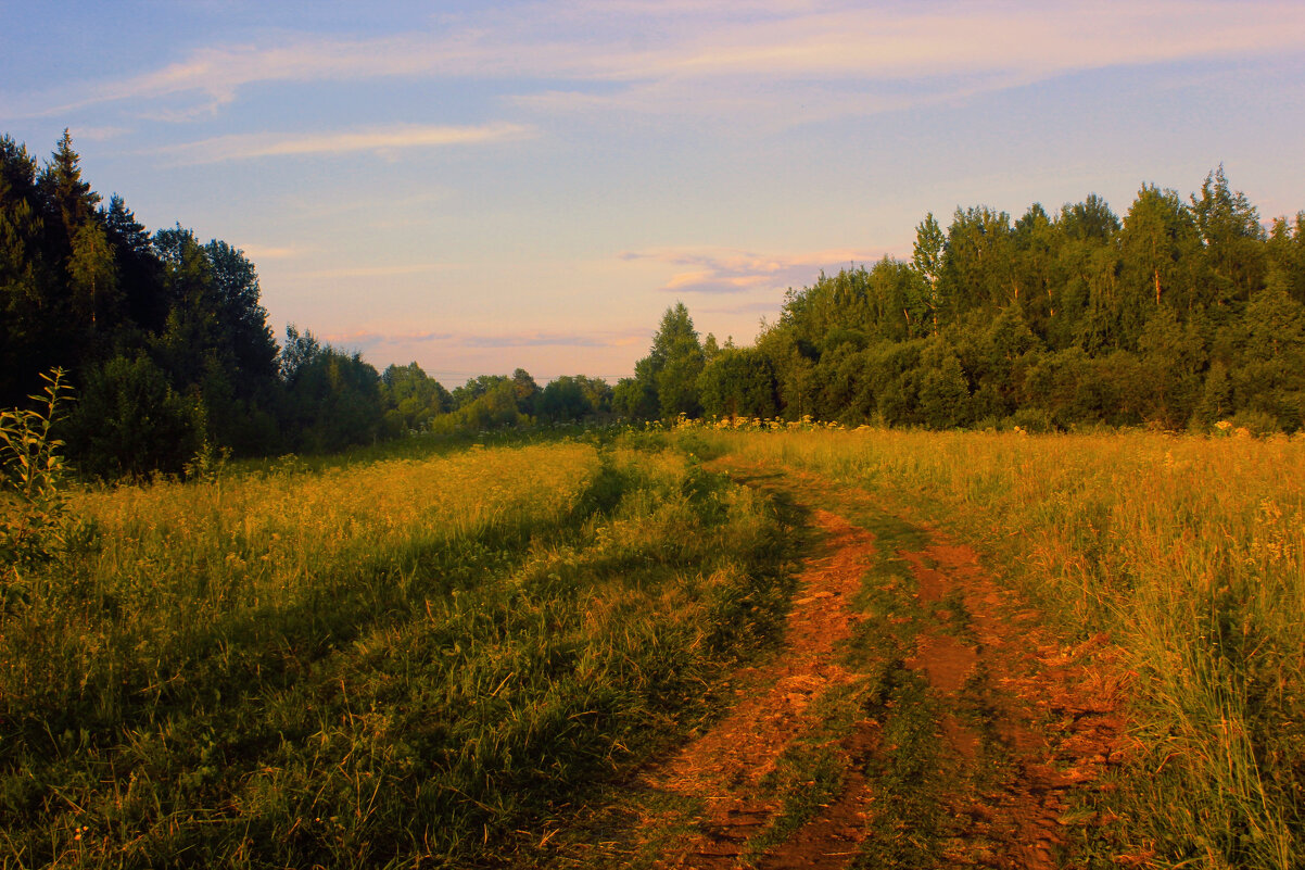 Вечер в поле - Сергей Кочнев