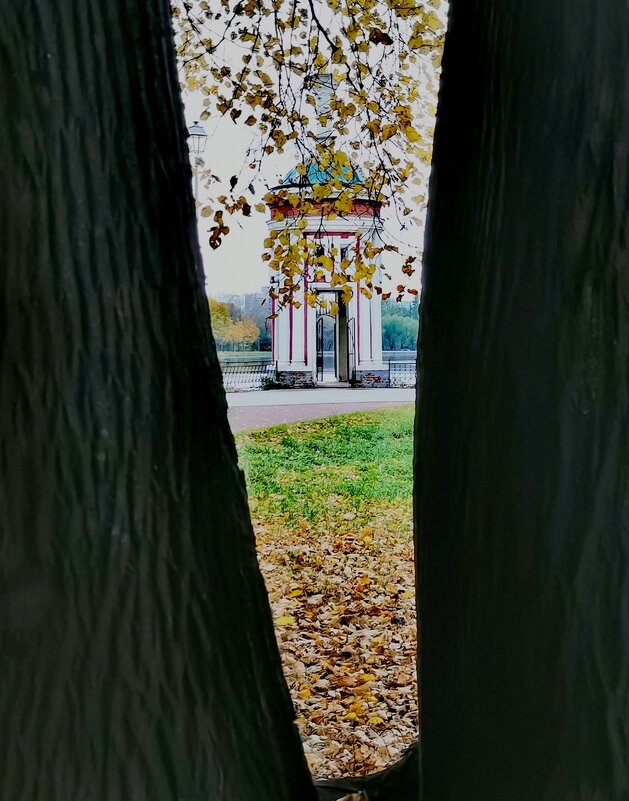 Фрейминг как приём в фотографировании - Любимова Ольга Фрейминг как приём в фотографировании - Любимова Ольга