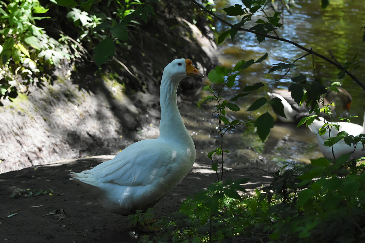 Москва. Сад будущего. - Наташа ***** Москва. Сад будущего. - Наташа *****