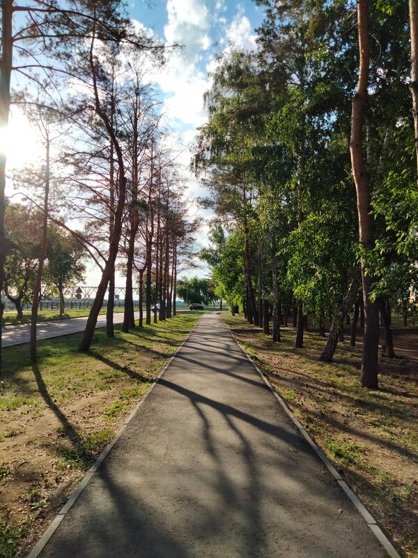 Покой - Динара Каймиденова