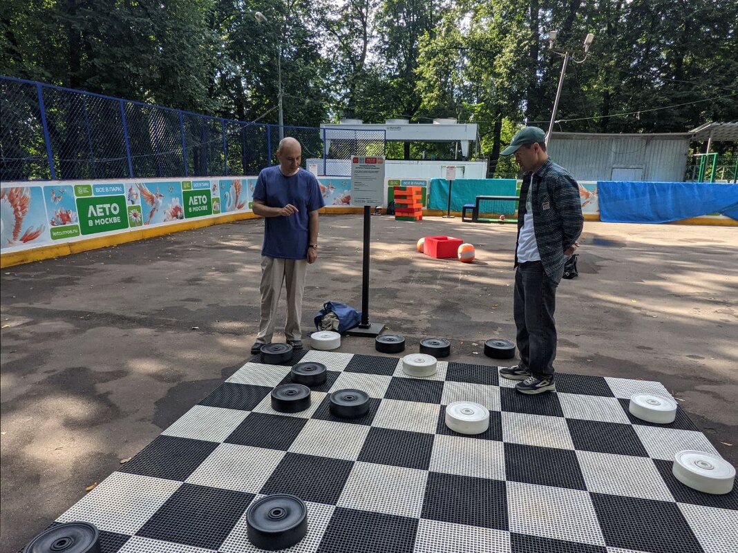 Турецкие шашки. Играю чёрными - Дмитрий Никитин