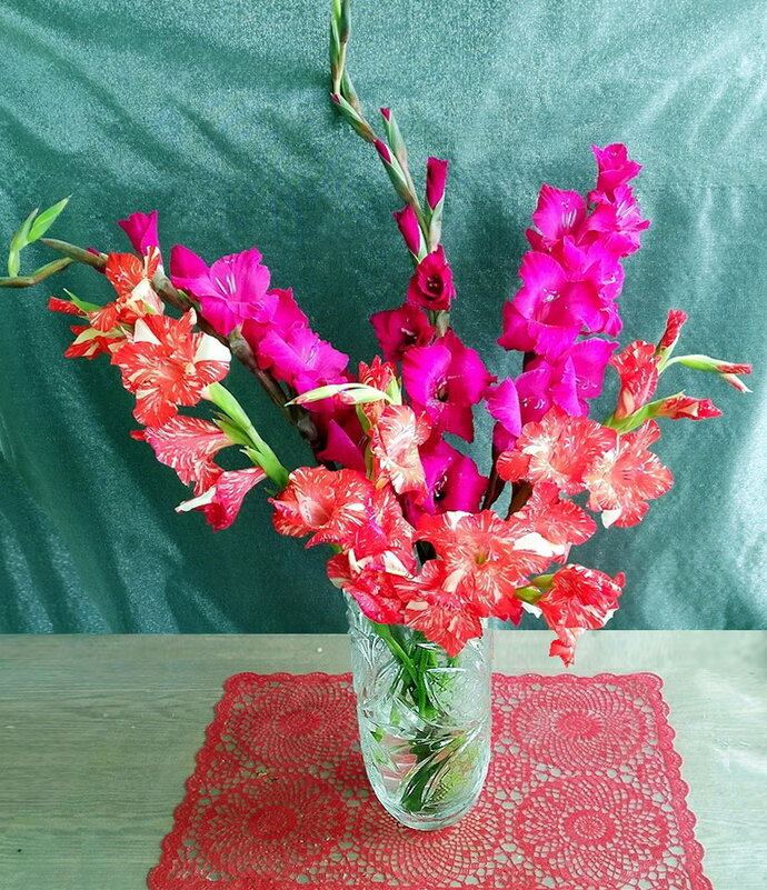 Цветы нам дарят настроенье - Ольга Довженко