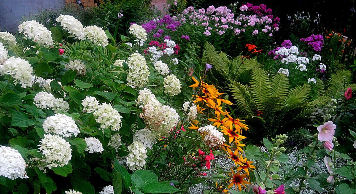 **** - Елена Семигина