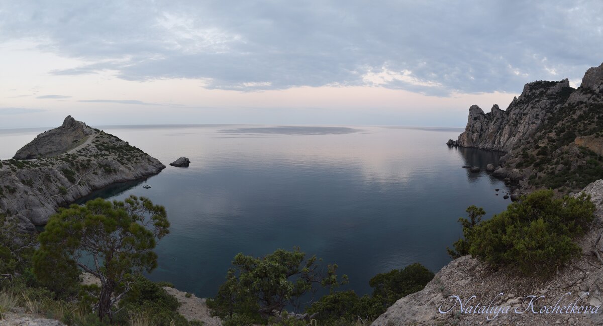 Природа Крыма - Amazing Cosmea