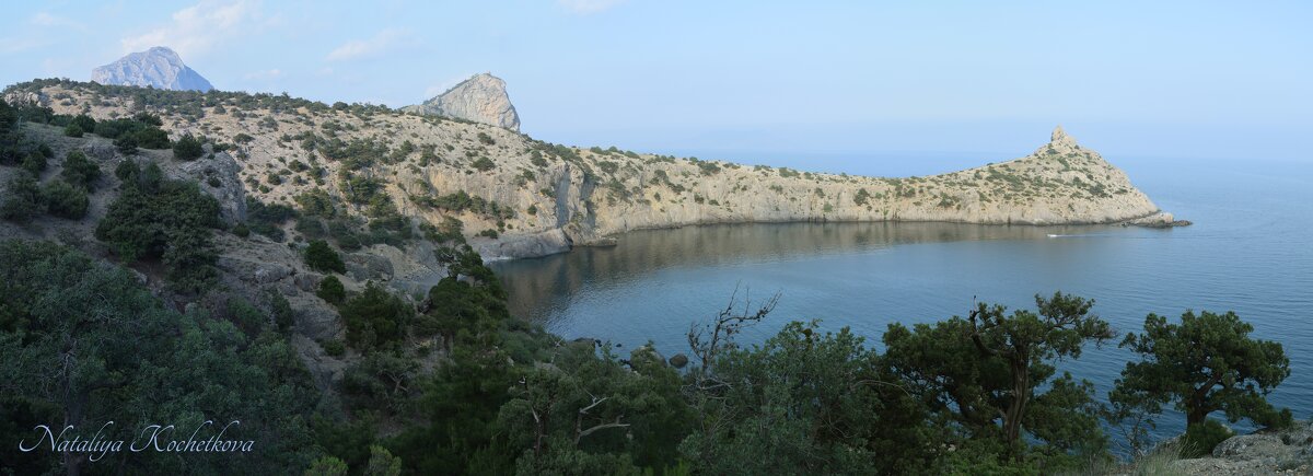 Природа Крыма - Amazing Cosmea