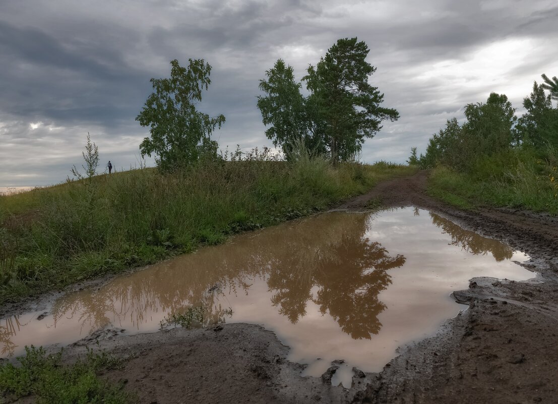 Дождливый день - Марина Фомина.