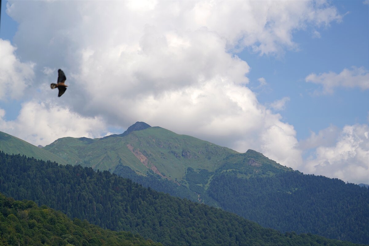 В горах - Татьяна Тюменка