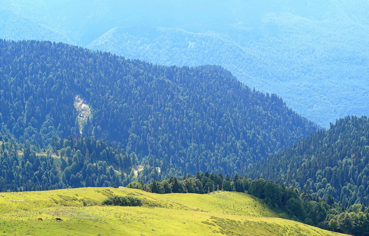 В горах - Татьяна Тюменка