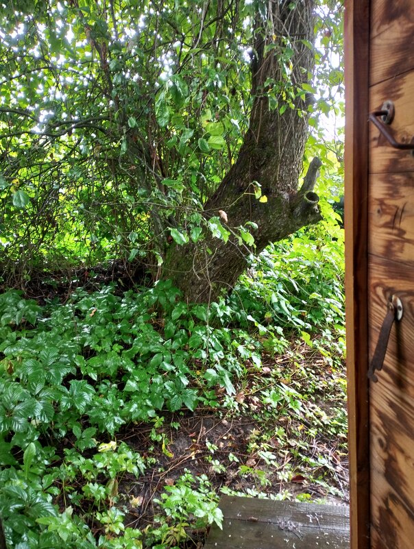 Дверям закрытым грош цена - Сергей Лындин Дверям закрытым грош цена - Сергей Лындин