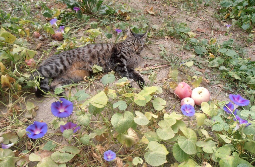 Марыся отдыхала, и вдруг... - Наталья 