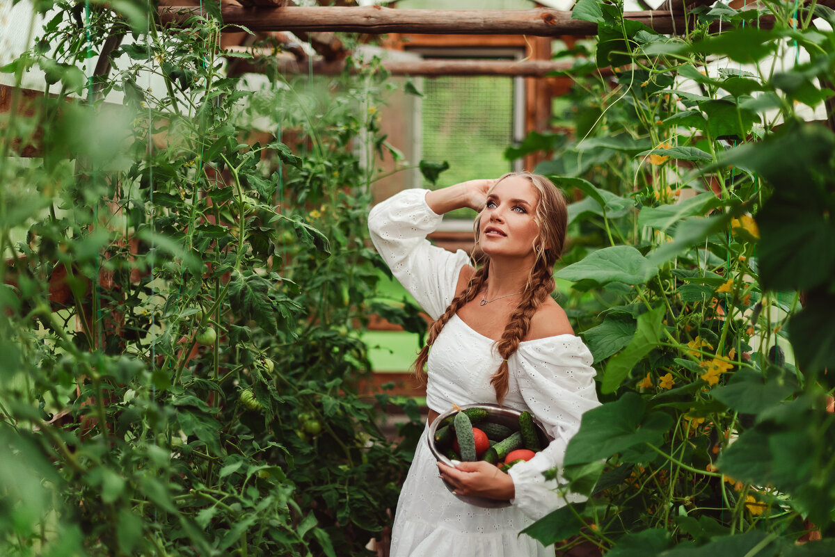 Тепличная история - Анна Ермоленко