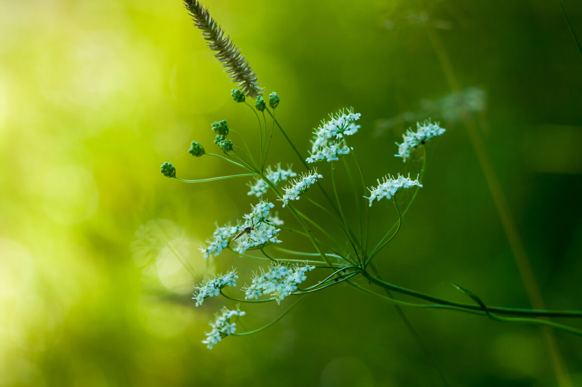 ... - василий 