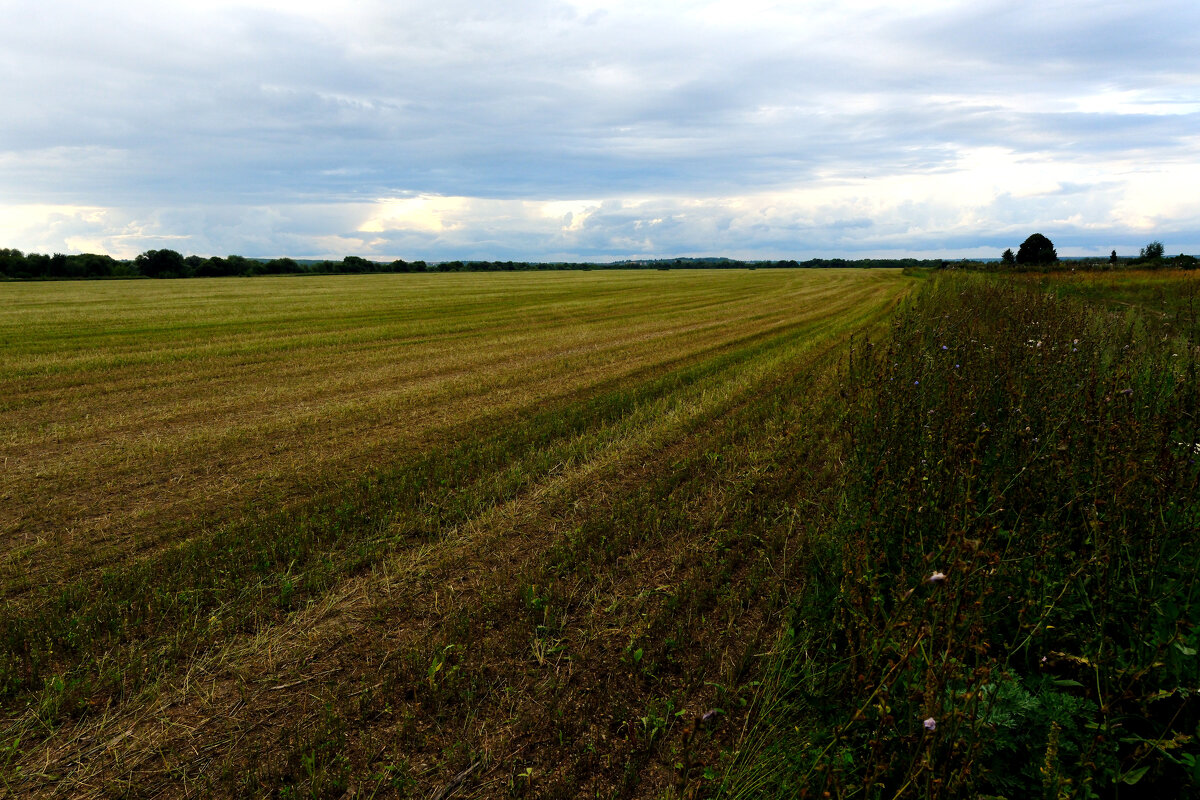 Родные просторы - Dar(k) Life