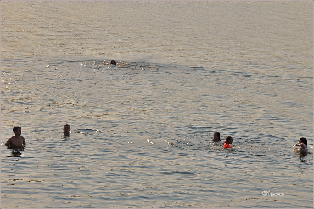 Летний вечер... - Aquarius - Сергей Летний вечер... - Aquarius - Сергей