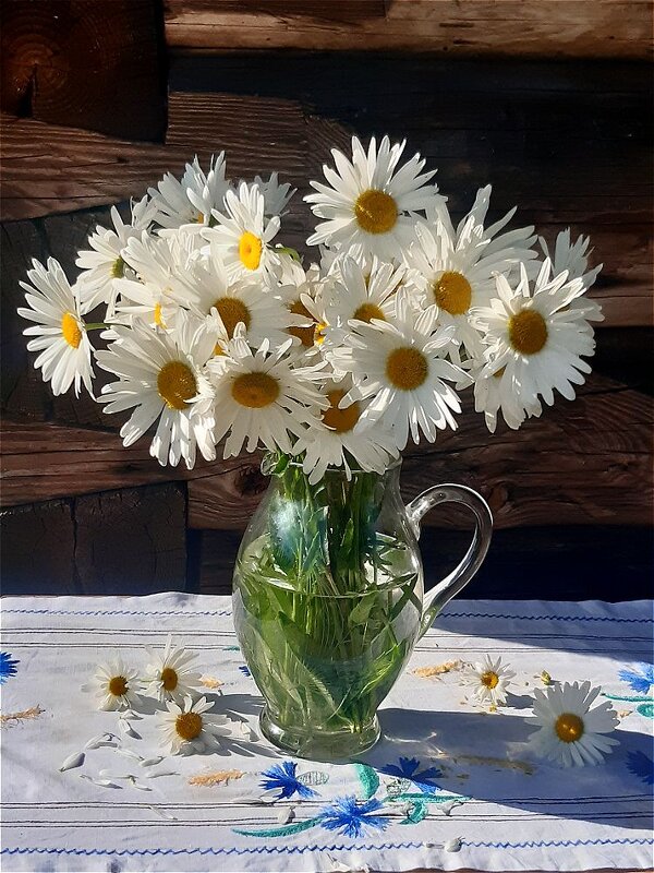 Ромашек нежное звучанье! - Нина Андронова Ромашек нежное звучанье! - Нина Андронова