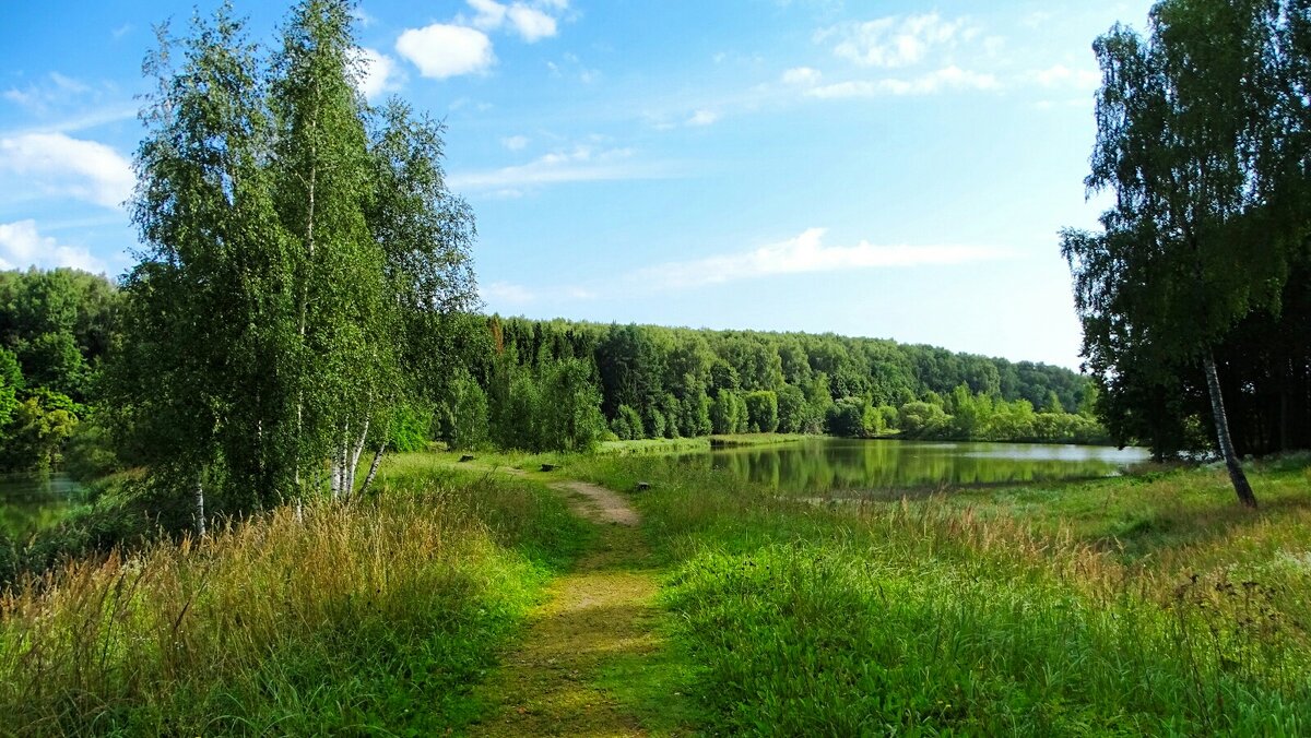 Наше лето. - Милешкин Владимир Алексеевич Наше лето. - Милешкин Владимир Алексеевич