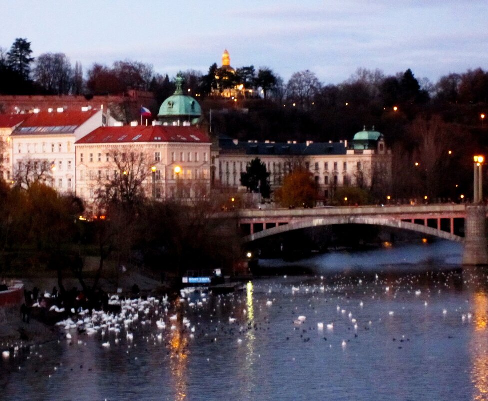 Прага - Натали 