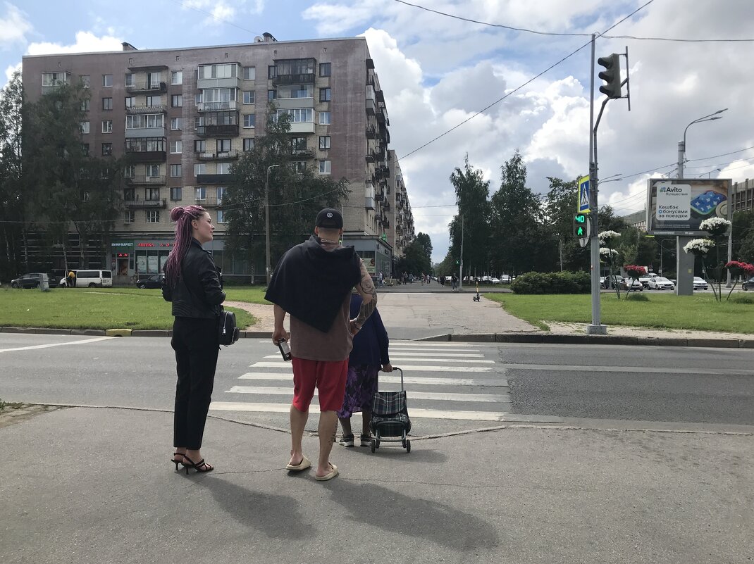 очередь на зебру - zavitok * очередь на зебру - zavitok *