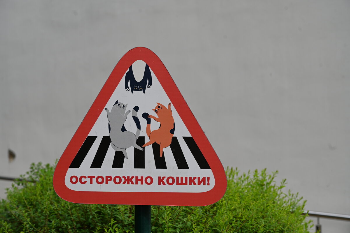 Солнечный город - redfox 