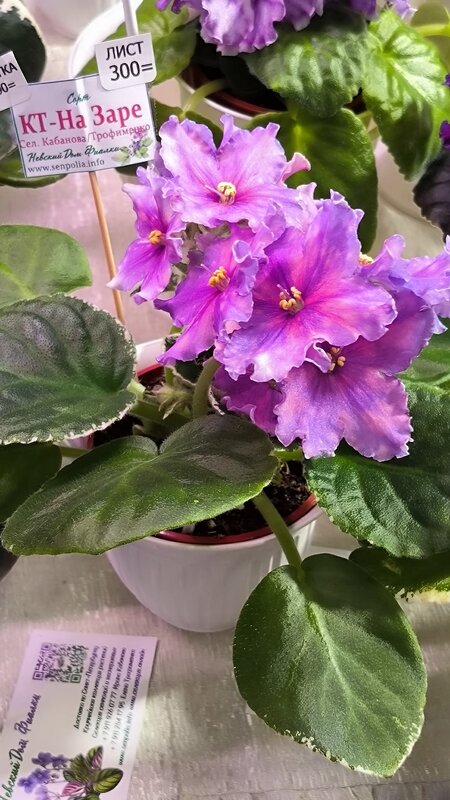 /// - Ольга /// - Ольга