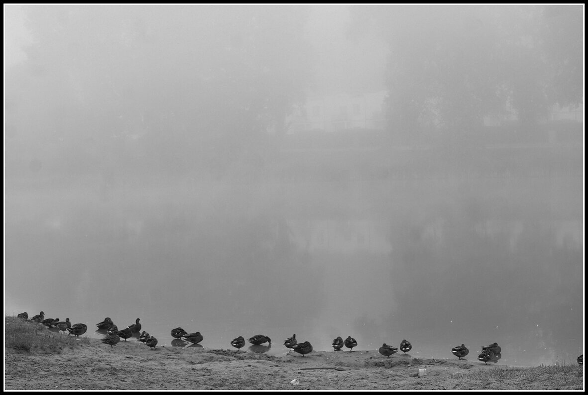 утро.. - Aleksandr Gal