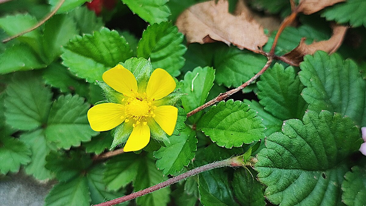 ,,, - Сергей Тимоновский