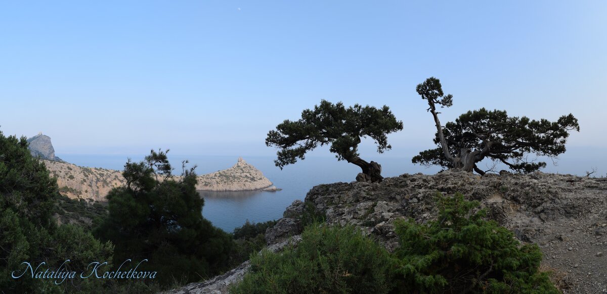 Природа Крыма - Amazing Cosmea