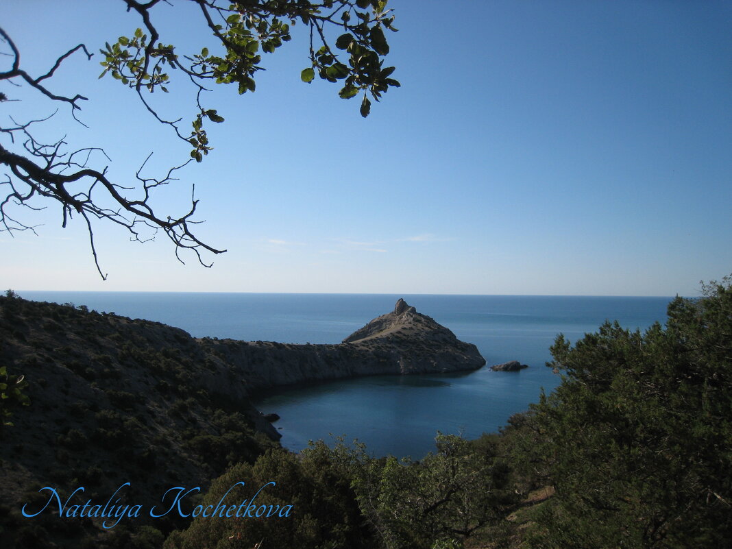 Природа Крыма - Amazing Cosmea