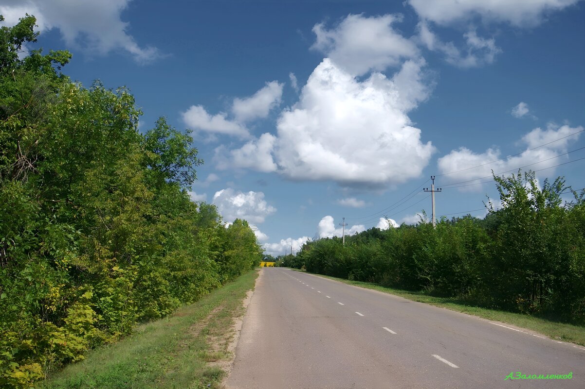 По дорогам августа... - Андрей Заломленков По дорогам августа... - Андрей Заломленков
