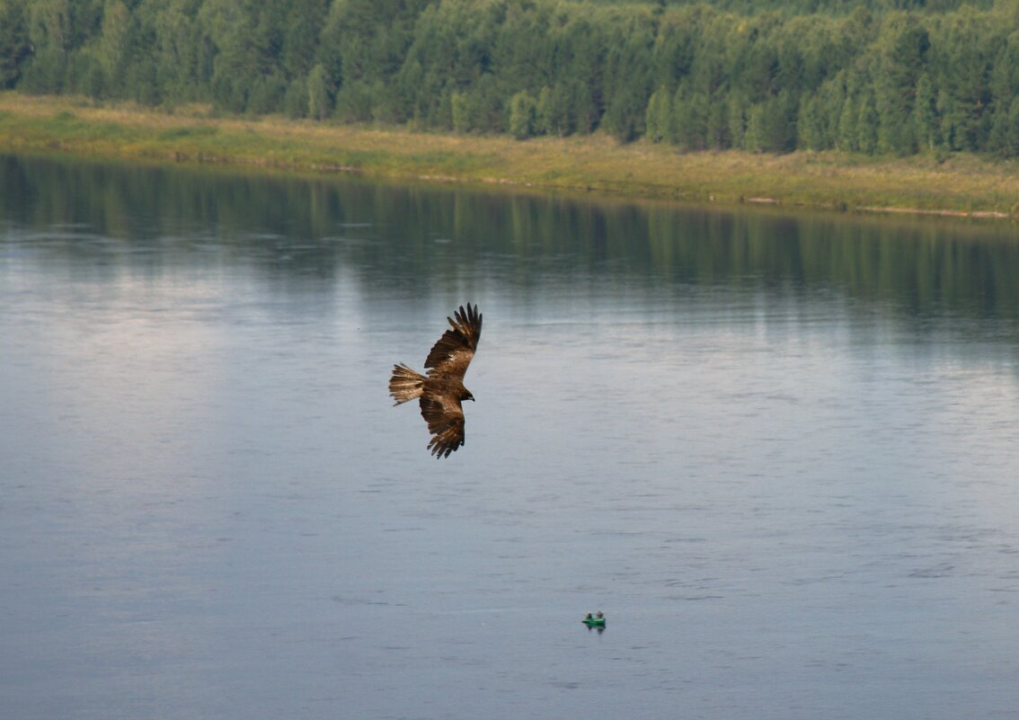 Полёт над Ангарой - Сергей Шаврин