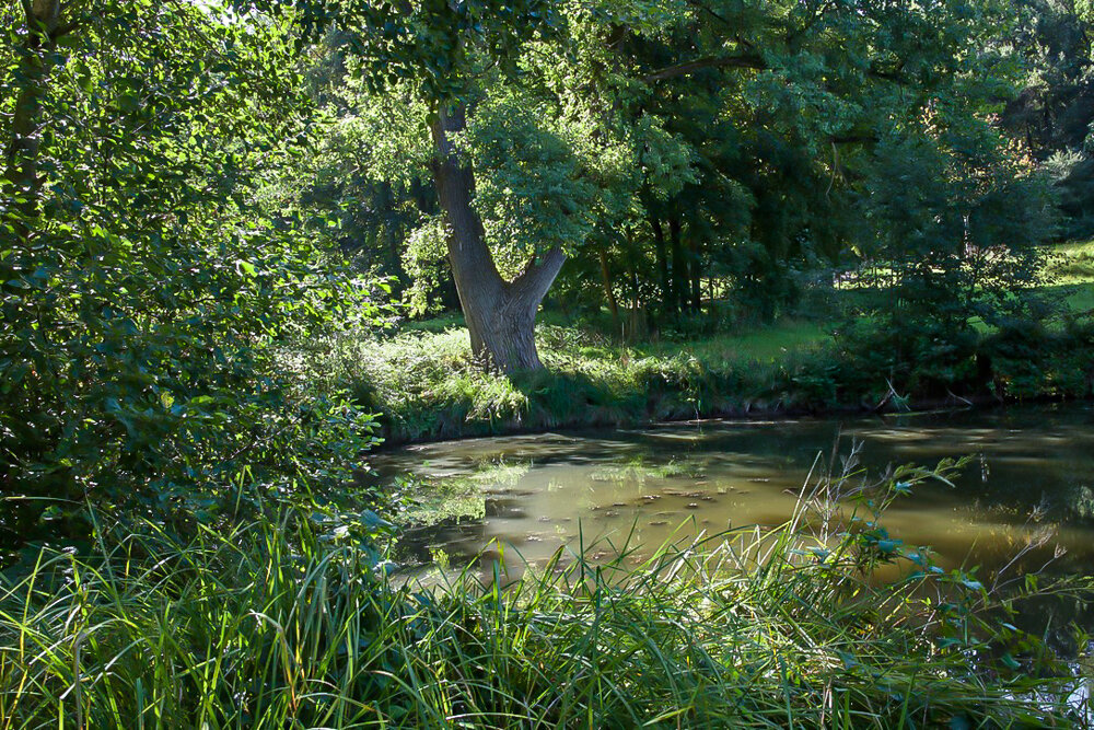 Утреннее солнце. - Lucy Schneider 