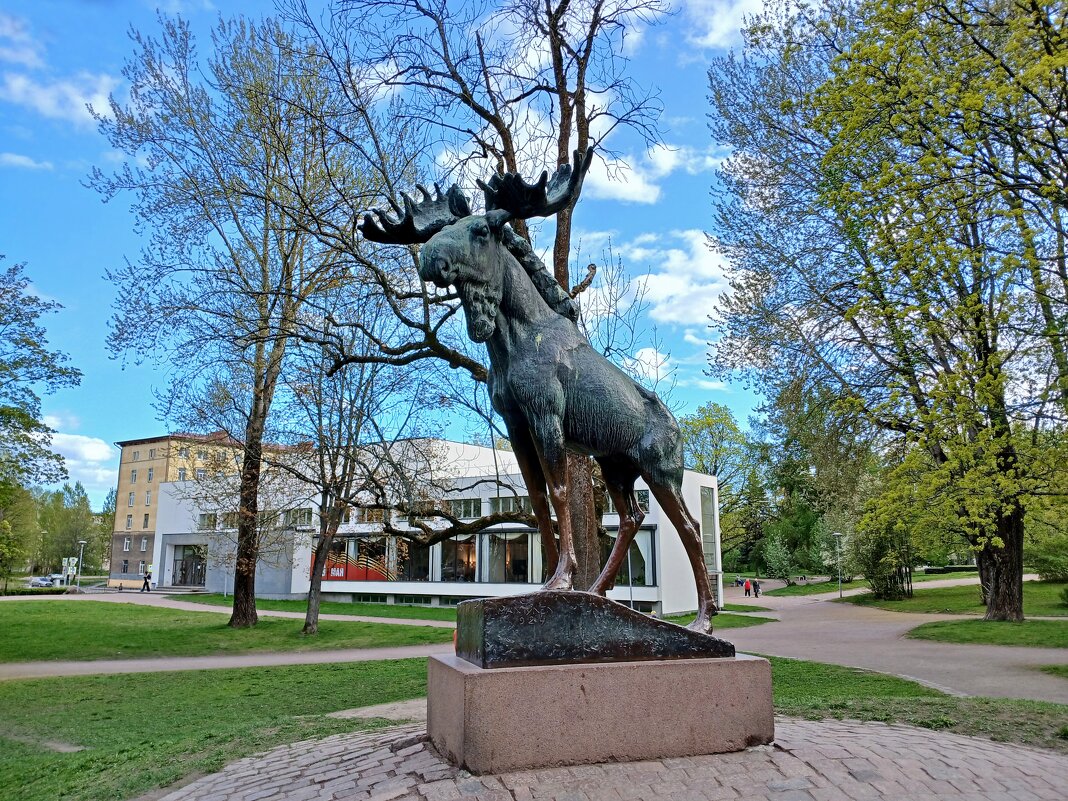 Библиотека Алвара Аалто. - Лия ☼