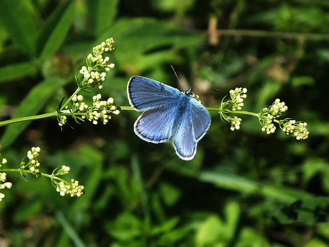 ** - Зоя Мишина