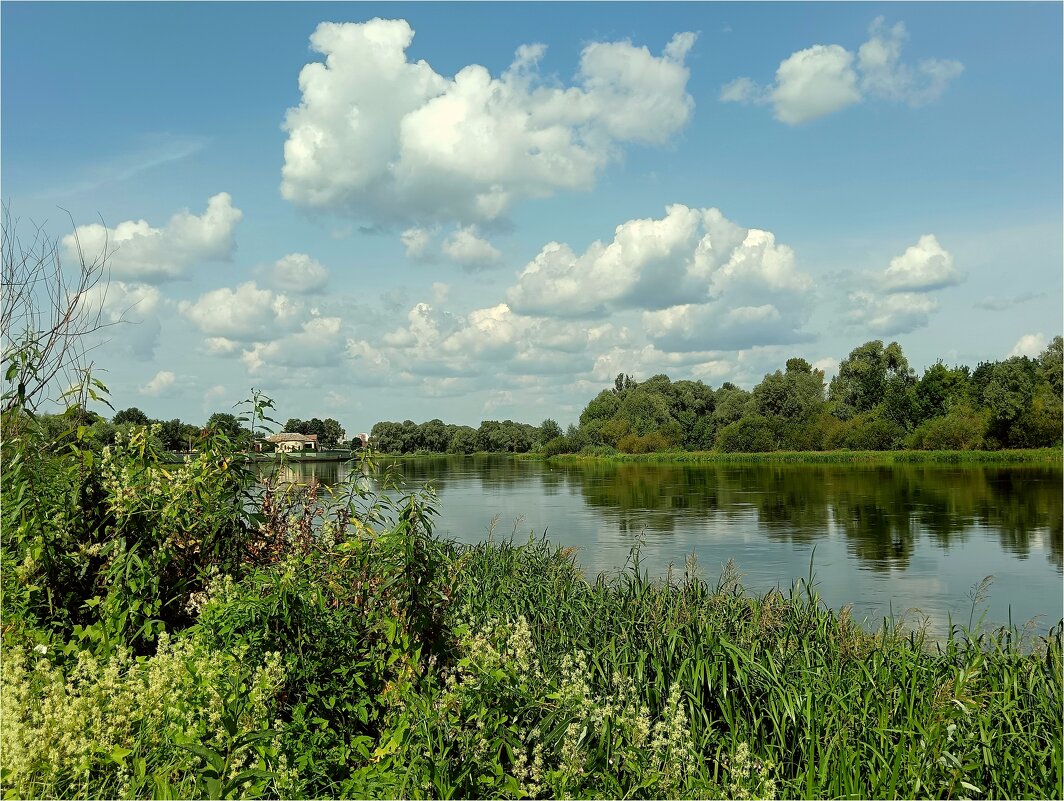 Август на Березине - Геннадий Худолеев Худолеев