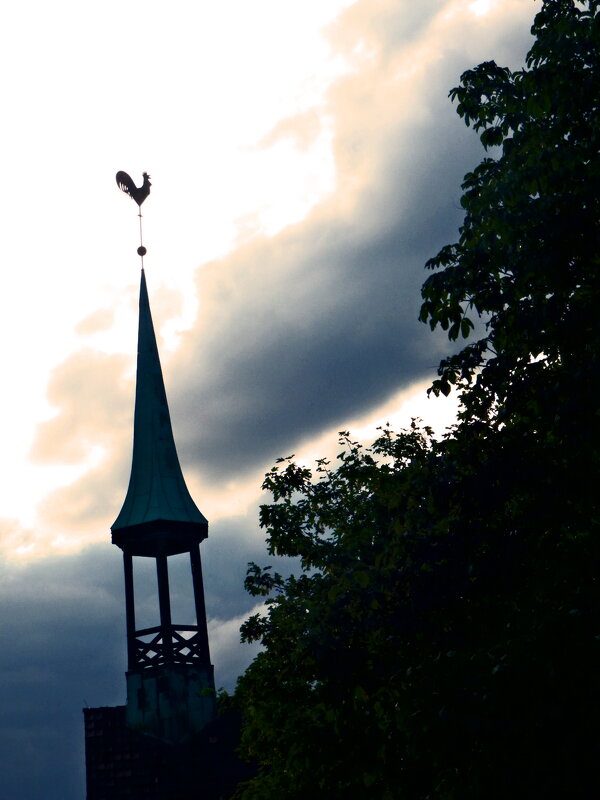 Фаинген 100 - Алексей Кузнецов