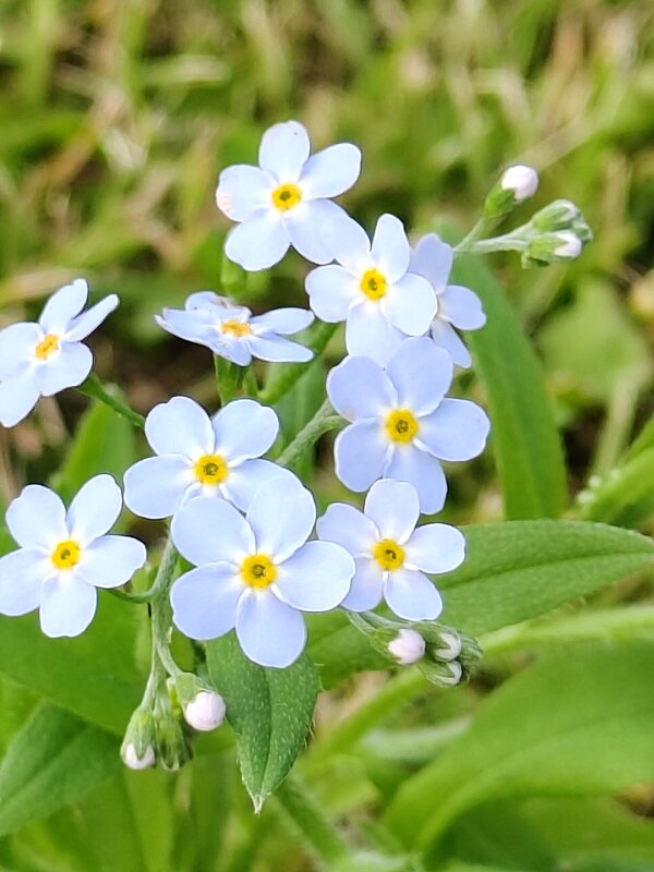 Для души - Андрей 