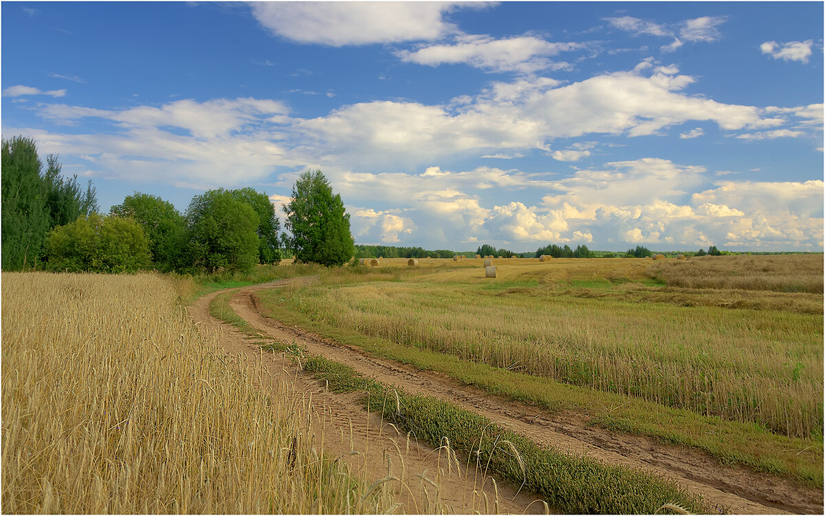 Август - Валентин Котляров