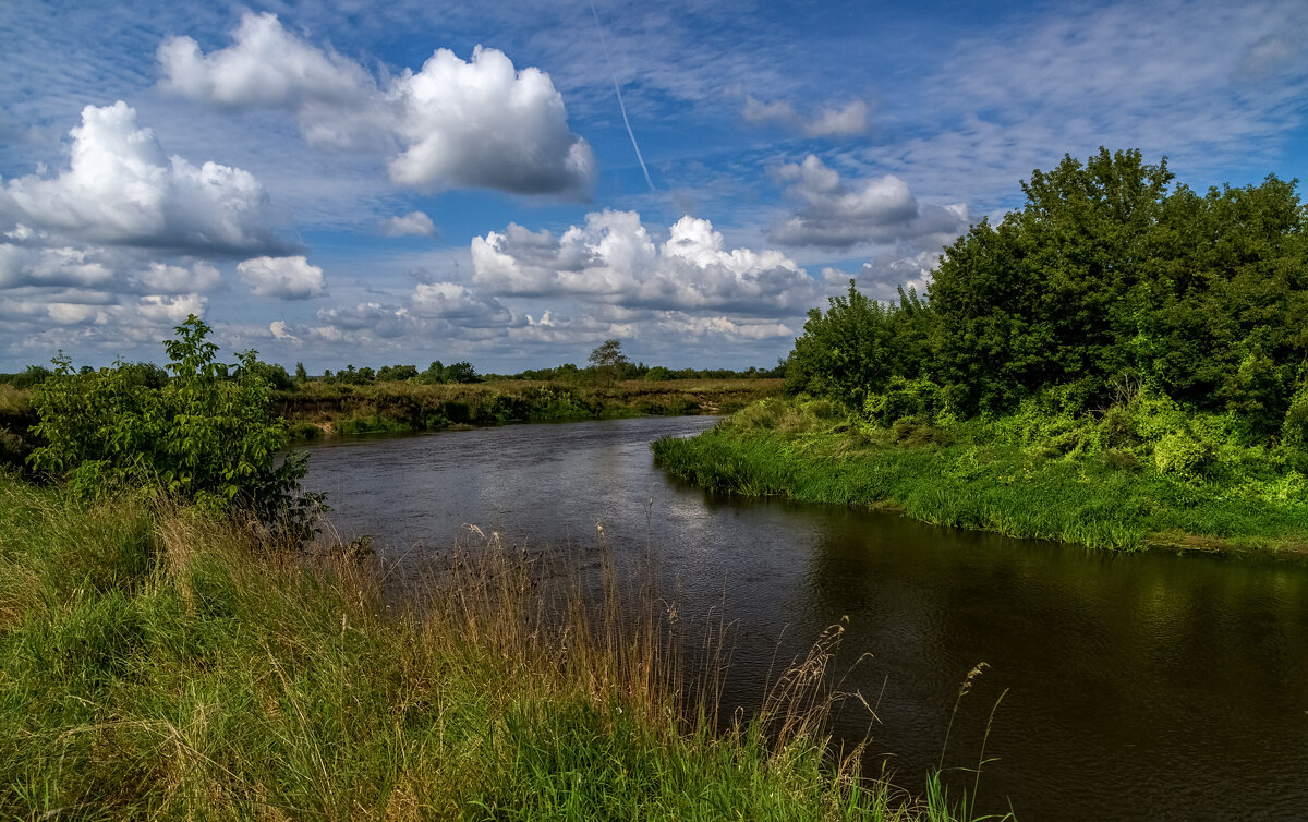 В Августе на Клязьме 5 - Андрей Дворников